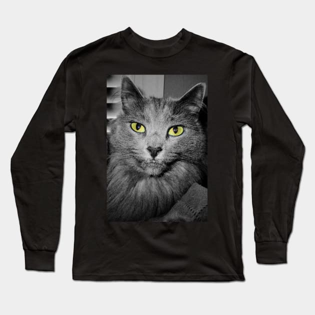 Stunning Green Eyed Cat Long Sleeve T-Shirt by PandLCreations